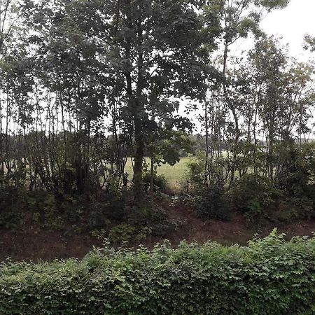 Apartament Lundtofthoj Aabenraa Zewnętrze zdjęcie