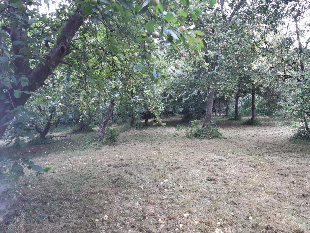 Apartament Lundtofthoj Aabenraa Zewnętrze zdjęcie